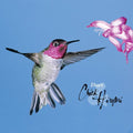 the album cover for Chick Corea - Duet [Brilliant Box]