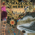 the album cover for Outrageous Cherry - Universal Malcontents
