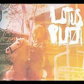 the album cover for Lotus Plaza - Floodlight