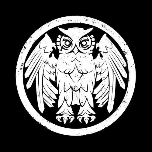 the album cover for Riverboat Gamblers - Underneath The Owl