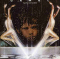 the album cover for Camel - Raindances