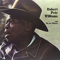 the album cover for Robert Williams Pete - With Big Joe Williams