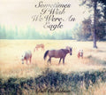 the album cover for Bill Callahan - Sometimes I Wish We Were An Eagle