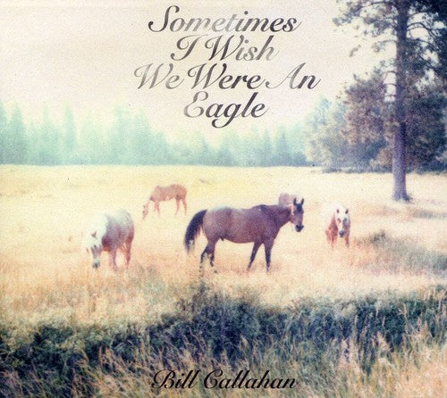 the album cover for Bill Callahan - Sometimes I Wish We Were An Eagle