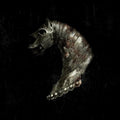 the album cover for Black Math Horseman - Wyllt
