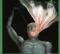 the album cover for Bruce Cockburn - Stealing Fire