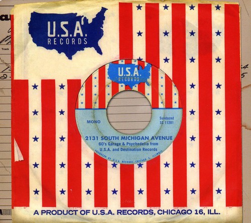 the album cover for Usa/Destination Story - 2131 South Michigan Avenue: 60's Garage and Psychedelia From USA AndDestination Records
