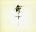 the album cover for Patrick Watson - Wooden Arms