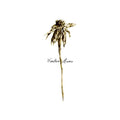 the album cover for Patrick Watson - Wooden Arms