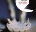the album cover for Radio Kijada - New Sounds From Black Peru [Import]