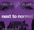 the album cover for Cast Recordings - Next To Normal