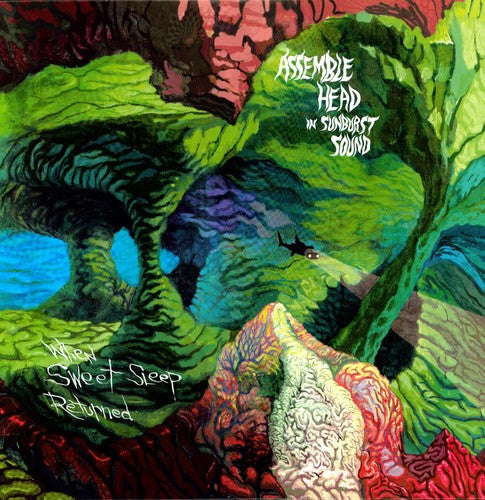 the album cover for The Assemble Head In Sunburst Sound - When Sweet Sleep Returned