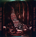the album cover for 1349 - Reflections Of The Black Flame