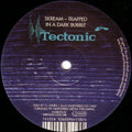 the album cover for Skream/Benga - Tectonic Plates, Vol. 2