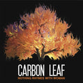 the album cover for Carbon Leaf - Nothing Rhymes with Woman