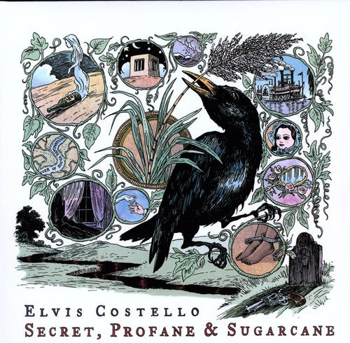 the album cover for Elvis Costello - Secret, Profane and Sugarcane