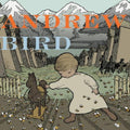 the album cover for Andrew Bird - Crown Salesman/So Much Wine 7'
