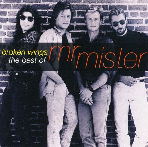 the album cover for Mr Mister - Broken Wings-The Best Of [Import]