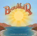 the album cover for Charlie Robison - Beautiful Day