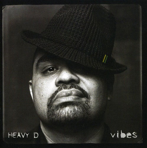 the album cover for Heavy D - Vibes