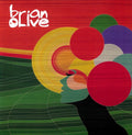 the album cover for Brian Olive - Brian Olive [Limited Edition] [180 Gram]