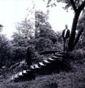 the album cover for Timber Timbre - Timber Timbre