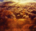 the album cover for Bowerbirds - Upper Air