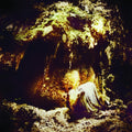 the album cover for Wolves In The Throne Room - Celestial Lineage
