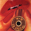 the album cover for 38 Special - Rockin' Into The Night