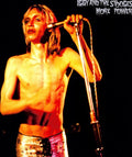 the album cover for The Stooges - More Power
