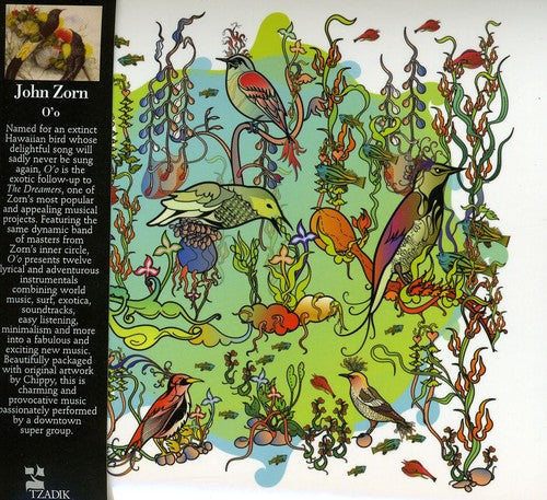 the album cover for John Zorn - O'O