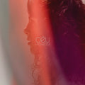 the album cover for Ceu - Vagarosa