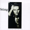 the album cover for Sting - Nothing Like the Sun
