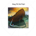 the album cover for Sting - Soul Cages