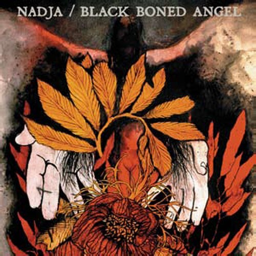 the album cover for Nadja - Nadja & Black Boned Angel