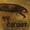 the album cover for Tv Ghost - Cold Fish
