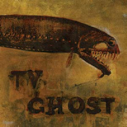the album cover for Tv Ghost - Cold Fish