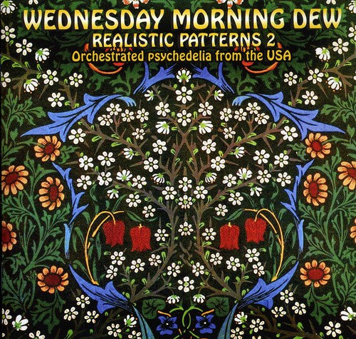 the album cover for Wednesday Morning Dew-Realistic Patterns - Wednesday Morning Dew: Realistic Patterns 2 / Var