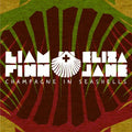 the album cover for Liam Finn - Champagne In Seashells [Digipak] [EP]