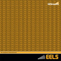 the album cover for Eels - Transmissions Session 2009
