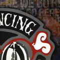 the album cover for The Bouncing Souls - 20th Anniversary Series 2