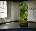 the album cover for Twin Atlantic - Vivarium
