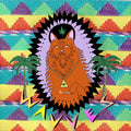 the album cover for Wavves - King of the Beach