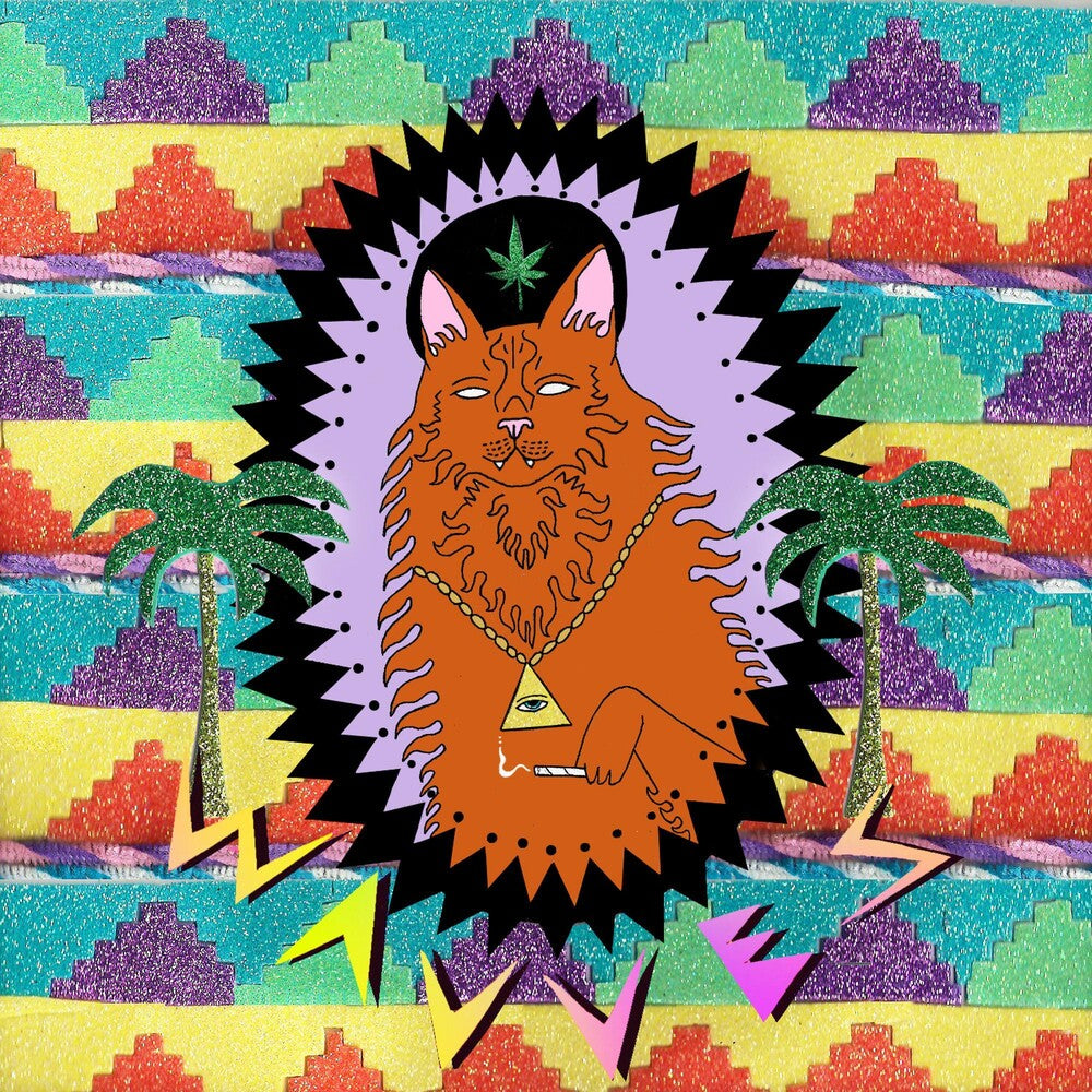 the album cover for Wavves - King of the Beach