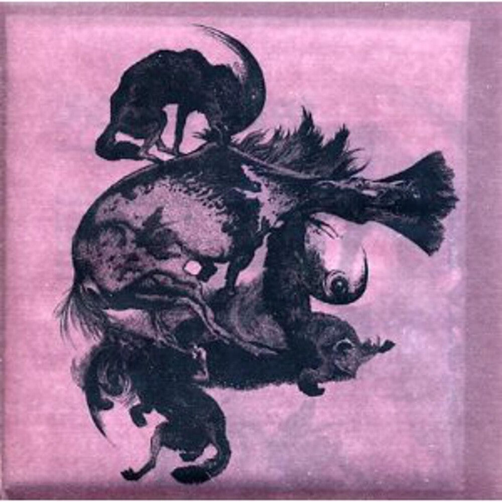 the album cover for Horseback - The Invisible Mountain