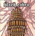 the album cover for Black Cobra - Chronomega