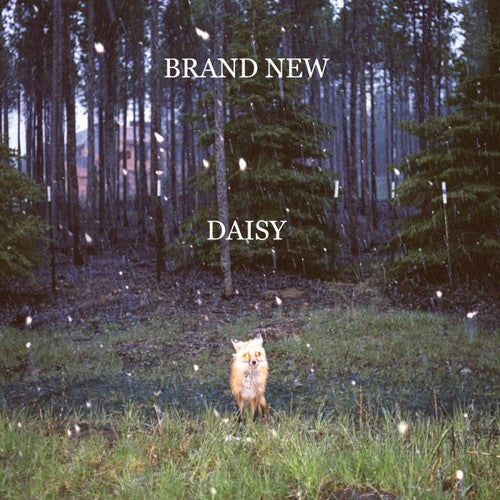 the album cover for Brand New - Daisy
