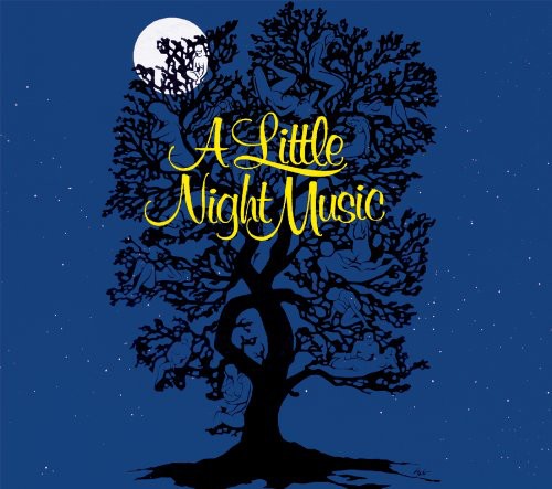 the album cover for Broadway Cast - A Little Night Music
