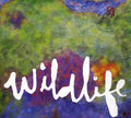 the album cover for Headlights - Wildlife