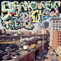 the album cover for Sufjan Stevens - Bqe